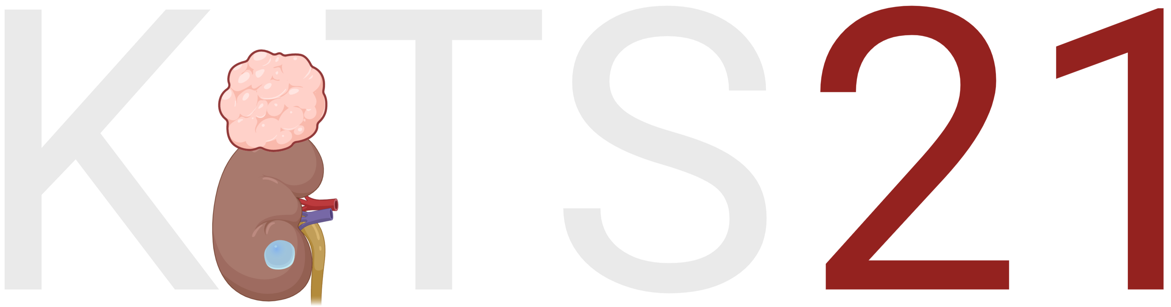 KiTS21 logo